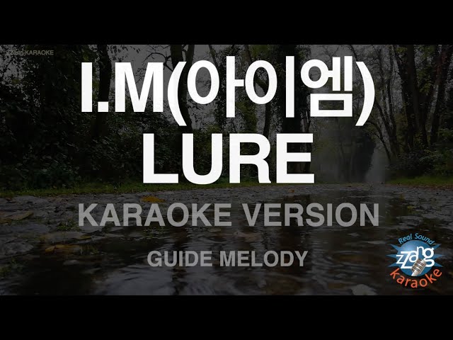 [짱가라오케/노래방] I.M(아이엠)-LURE (Melody) [ZZang KARAOKE] class=