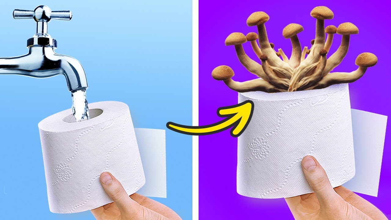 Modi semplici e intelligenti per coltivare le piante a casa!