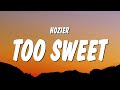 Hozier - Too Sweet (Lyrics) "you