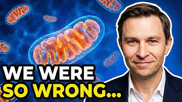 4 Foods To Make New Mitochondria (Scientific Proof) | Dr. David Sinclair