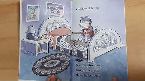 Cat on the Mat( STEP INTO READING )