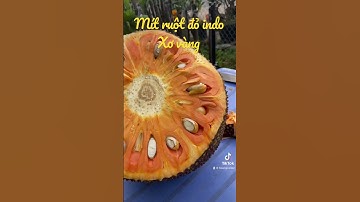 Cung cấp cây Mít Ruột Đỏ indo xơ vàng chuẩn 100% #shorts