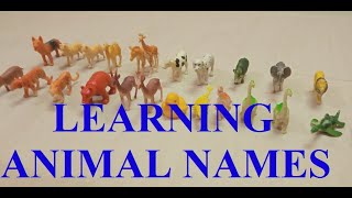 Animal Toy Collection Types Of Dinosaurs Animal Toy Box Tharus Play