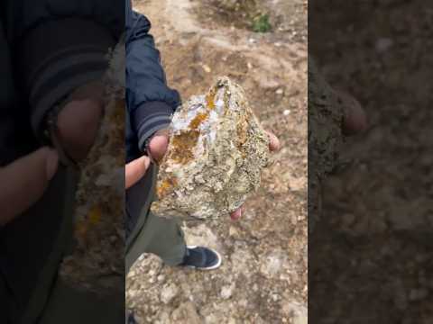 انواع أحجار الذهب العبري