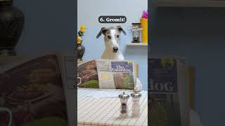 My top 10 animal cameos! Which one is your favourite?