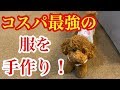 犬の服は手作りしたらコスパ最高な件！可愛いし！【トイプードルそぼろ＆ニコ】