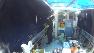 20190916 イカメタル しんや20