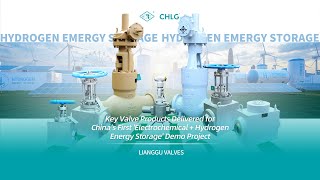 Key Valve Products Delivered for China’s First'Electrochemical+Hydrogen Energy Storage' Demo Project