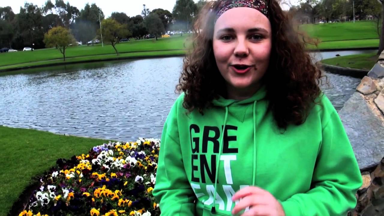 Green Team 2011 Promo