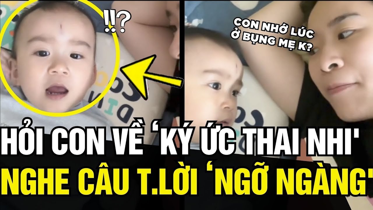 Hỏi con trai về KÝ ỨC THAI NHI, nghe câu trả lời khiến ai nấy NGỠ NGÀNG | Tin Ngắn 3 Phút