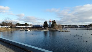 Mimico / Humber Bay Shores Neighbourhood | Toronto Real Estate | The Matthew Fernandes Group