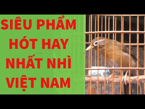 Video HỌA MI SIÊU PHẨM GIỌNG HÓT EM NÓ LÀ SỐ 2 THÌ KO AI LÀ... - YouTube