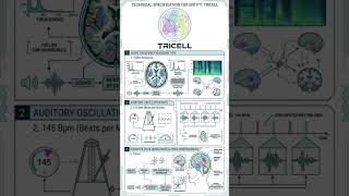 TRICELL - Believe in Unicorns