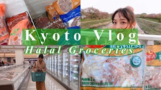 Life In Japan Halal Groceries Japan Vlog