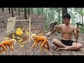 Primitive Technology: Amazing Quick Monkey Trap Using Bamboo