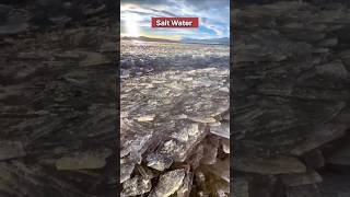 Salt Production Process: How Salt Is Really Made From Sea Salty Water? | #SaltProduction #SaltMaking