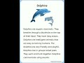 Short Essay Dolphins English