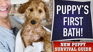 How To NOT Totally Screw Up Your Puppy’s First Bath! (EP 15)