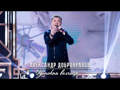 Александр ДОБРОНРАВОВ - ОДИНОКАЯ ВОЛЧИЦА | "Привет, Андрей!: Ирина Алфёрова", 2021