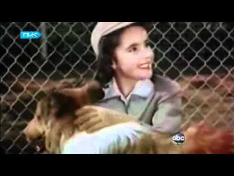 CSM - სტუდენტის სიუჟეტი \"ПИК\"-ში