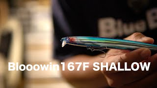 Blue Blue] Let's talk about the Blowin 167F Shallow! - YouTube