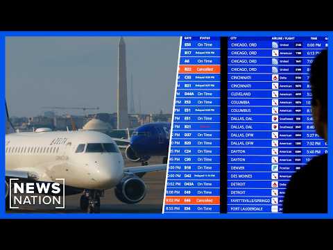 FAA to roll out AI technology aimed at reducing flight delays and cancellations