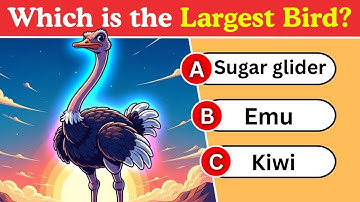 General Knowledge Quiz Trivia | 50 Questions | Do You Know #quiz #trivia #quiztrivia