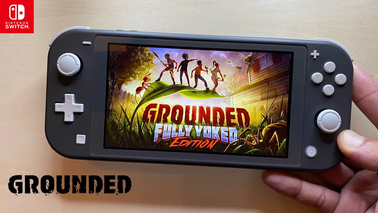 Grounded Nintendo Switch Lite Gameplay YouTube