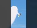 What Happened to the US Navy's F-35C on July 31?