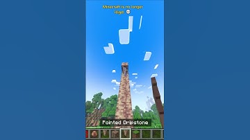 Top Gamer Reveals Best Minecraft Bug FIXES