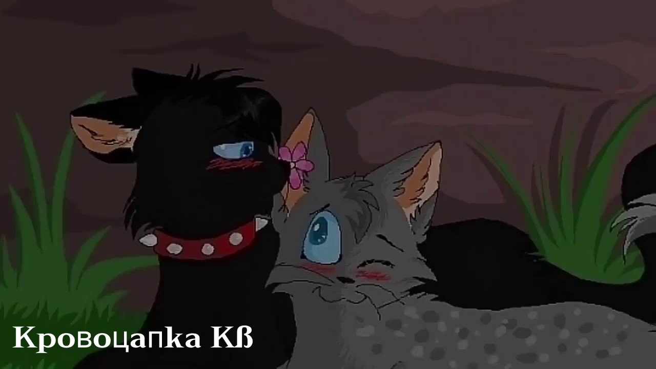 Коты воители картинки бич и кровоцапка