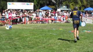 Downtown San Jose Bark in the Park