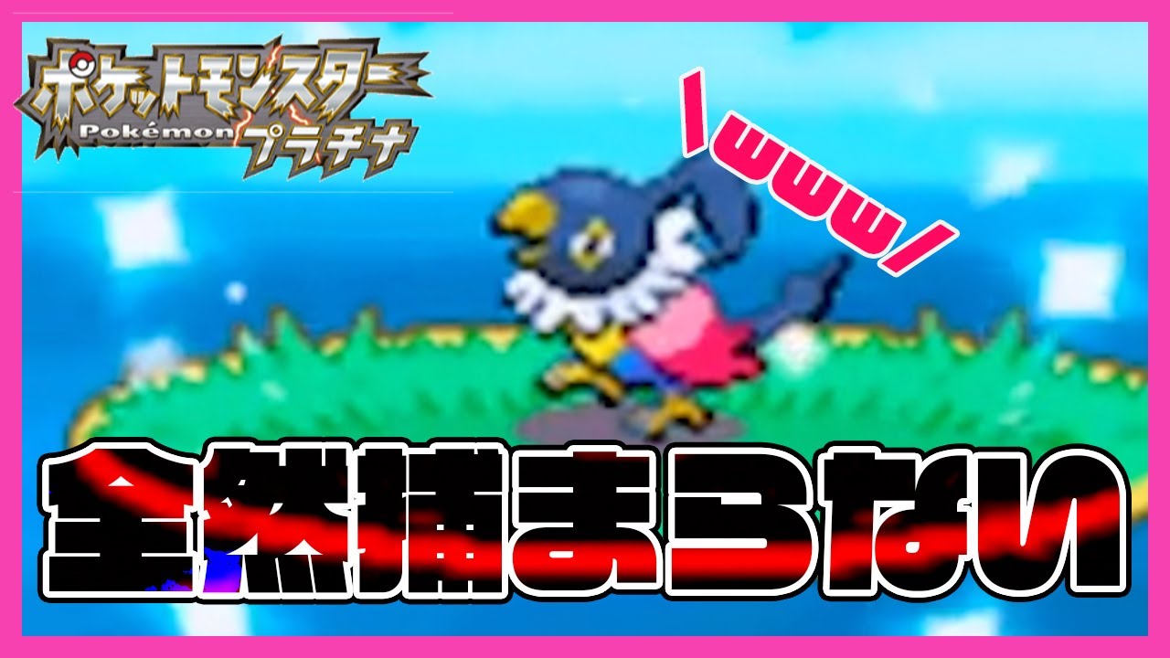 ポケトレ なかなか捕まらない色違いポケモン ポケモンプラチナ ペラップ色違い Shiny Pokemon Chatot Youtube