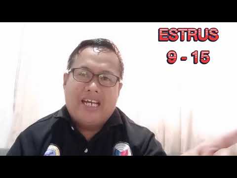 Video: Paano Mo Malalaman Na Ang Iyong Alaga Ay Napakataba?