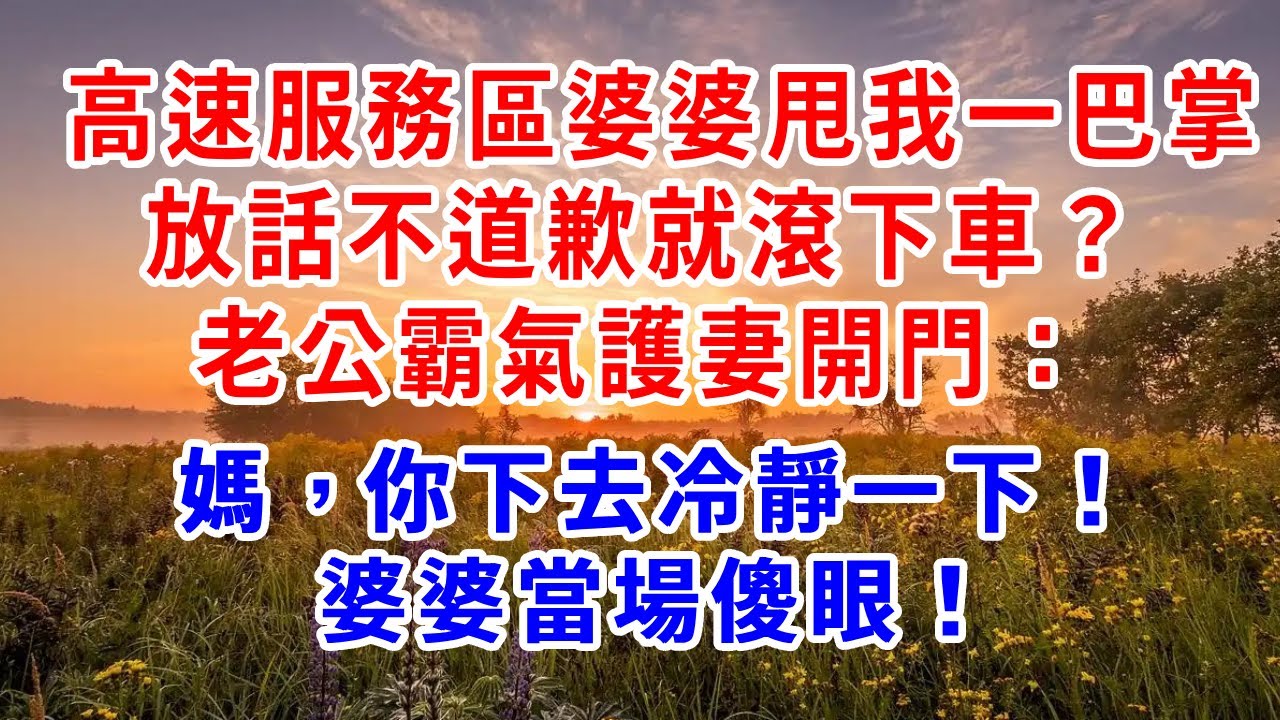 高速服務區婆婆甩我一巴掌，放話不道歉就滾下車？老公直接開門：媽，你下去冷靜！婆婆當場傻眼！