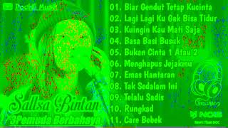 Biar Gendut Tetap Kucinta | Sallsa Bintan Feat 3Pemuda Berbahaya | Full Album Musik Mp3