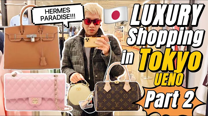 LUXURY BAGS in UENO TOKYO  Truly an HERMES BAG Paradise in Japan  Rare and New Hermes Birkin + Kelly