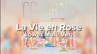 IZ*ONE - La Vie en Rose (Lower Male Version)