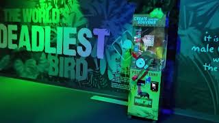  Wild Life Sydney Zoo Tour  Meet Australias Iconic Animals