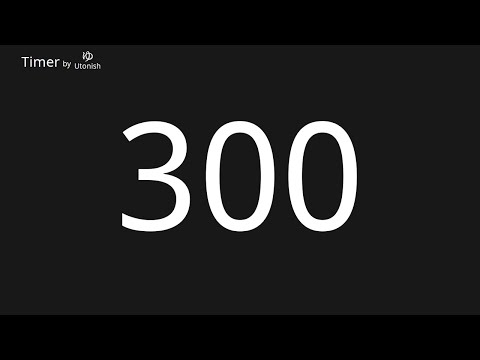 300 Second Countdown Timer