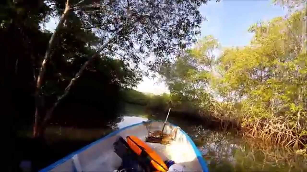 Team FreeSpearIt Spearfishing Panama