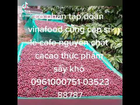 quy trình sản xuất khép kín từ trang trại đến ly cafe sạch nhất ngon nhất