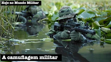 Como funciona a camuflagem do camaleão?