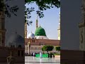best naats#2025 best naats#trending naats#best Islamic shorts#best Islamic status#love Madina#naats