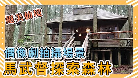 新竹景點｜馬武督探索森林：綠光森林偶像劇拍攝場景｜夢幻的忘憂森林｜Ma Wudu explores the forest｜Hsinchu Attractions｜Taiwan travel｜台灣旅行 - 天天要聞