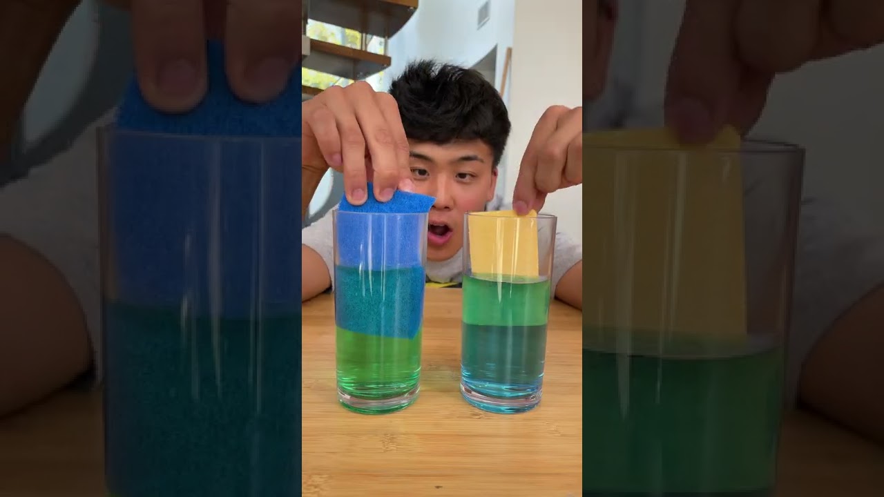 TESTING Cheap VS Expensive SPONGES! 