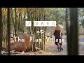 7 Days at Thai Plum Village