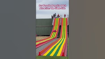 Our Favorite Pumpkin Patch Attraction: The Giant Slide  #shorts #pumpkin