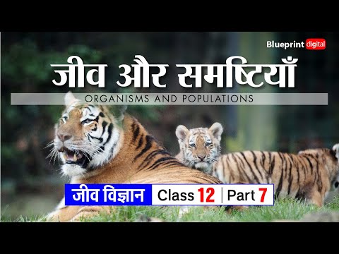 Chapter 13 - Organisms and Populations Part 7 | Hindi Medium | Biology Class 12