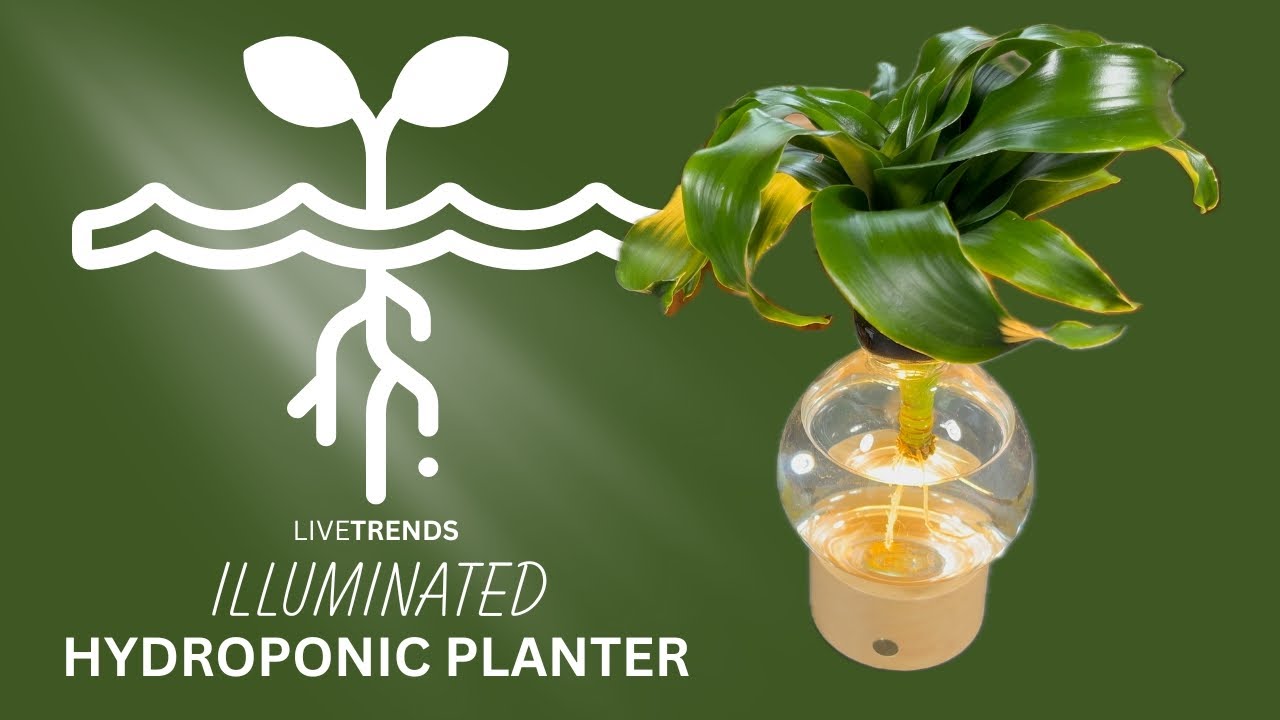 Dirt-FREE! LiveTrends Illuminate Hydroponic LED Planter with